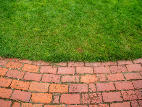 Red Brick Path And Grass Background Texture