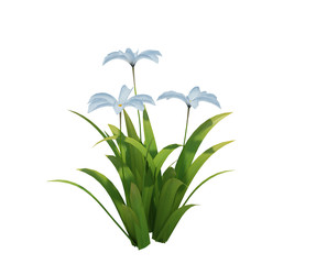3d Render Brush Tree Isolated  on white