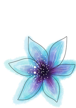 blue flower on white background