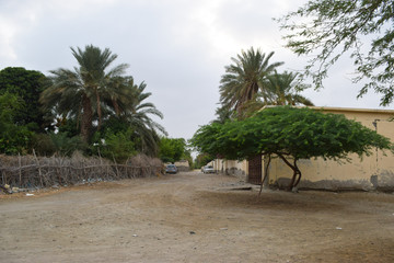 street landscape photo natural view clouds, dates tree plants grass city life, building blue sky...