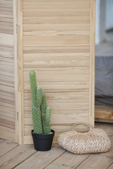 loft interior design. Wooden screen with cactus in the pot and straw bag on the floor