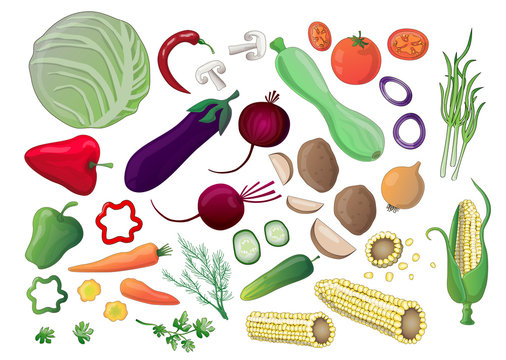 A large set of vegetables and herbs, painted - cabbage, eggplant, zucchini, carrots, onions, tomatoes, cucumbers, peppers, chili, dill, parsley, green onions, mushrooms, corn, potatoes and beets.