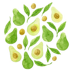 Watercolor whole and sliced avocado and green leaves. Botanical illustration.