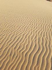 sand dunes in the desert