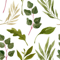 Watercolor eucalyptus leaves and other foliage seamless pattern. Botanical illustration, isolated on white background.