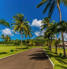 A view along a palm tree line road towards the volcano, Mount Pelee in Martinique