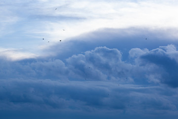 Fototapeta premium blue sky background with tiny clouds