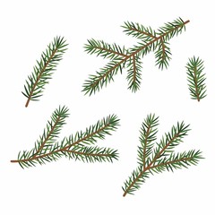 Green branches of a Christmas tree, set, isolated on white background.