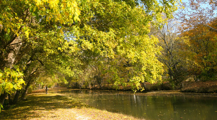 Autumn Fall Colors Orange Red