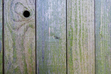 bois sec planche noeud 