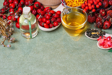 Dog rose, bunch branch Rosehips, types Rosa canina hips and herbal tea - Medicinal plants herbs...