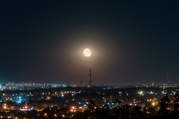 Fototapety na wymiar - Fototapeta24.pl