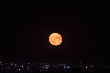 Fototapeta premium Bright big orange full moon rising up on dark night sky above city lights. Mystic nighttime black sky with large moon, dark tranquility