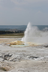 Geyser in Yellowstone National Park.