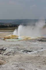Geyser in Yellowstone National Park.