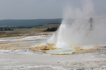 Geyser in Yellowstone National Park.
