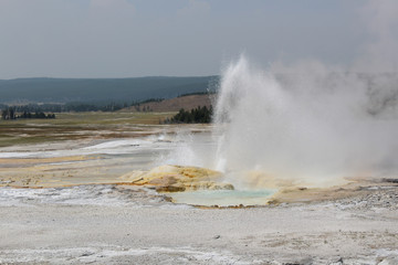 Geyser in Yellowstone National Park.