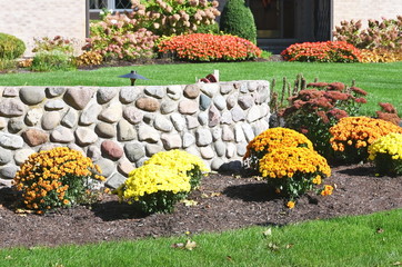 Flowers and Stone Wall