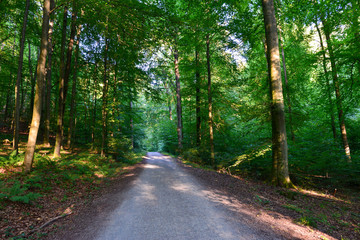 Rückersbacher Schlucht in Johannesberg/Aschaffenburg