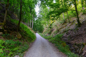 Fototapeta premium Rückersbacher Schlucht in Johannesberg/Aschaffenburg