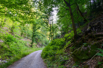 Rückersbacher Schlucht in Johannesberg/Aschaffenburg