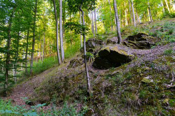 Rückersbacher Schlucht in Johannesberg/Aschaffenburg