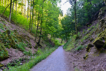 Obraz premium Rückersbacher Schlucht in Johannesberg/Aschaffenburg
