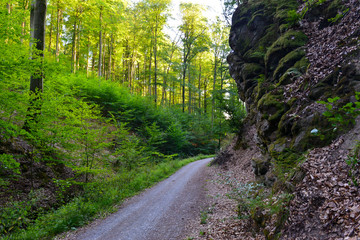 Obraz premium Rückersbacher Schlucht in Johannesberg/Aschaffenburg