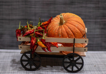Thanksgiving things: pumpkins, peppers on grey background. Halloween, Thanksgiving day or seasonal autumnal. Design mock up.