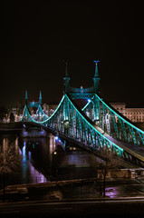Fototapeta na wymiar Freedom Bridge at Midnight in Europe