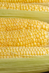 Corn cobs  on table