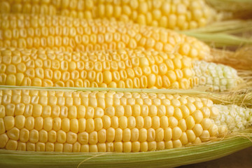 Corn cobs  on table