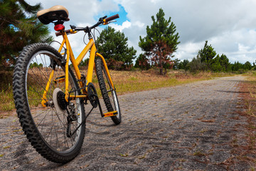 Fototapeta na wymiar bike on the road