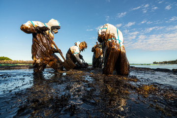 Volunteers clean the ocean coast from oil after a tanker wreck. Mauritius