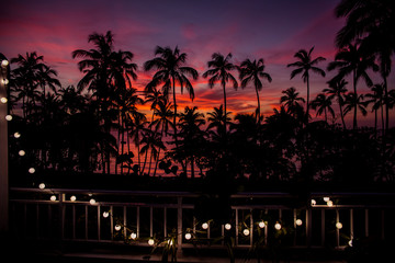 Palm trees silhouettes at sunset and electric garland, Samana, Dominican Republic 