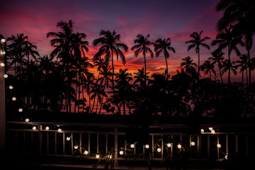 Obraz premium Palm trees silhouettes at sunset and electric garland, Samana, Dominican Republic 