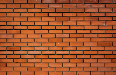 muro de ladrillo en primer plano 