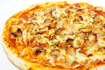 テイクアウトの照り焼きチキン味のピザ