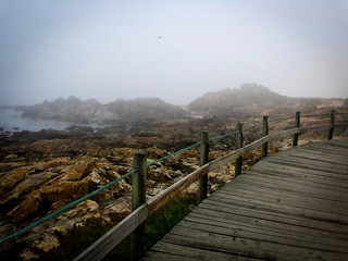 Obraz premium road to the fog