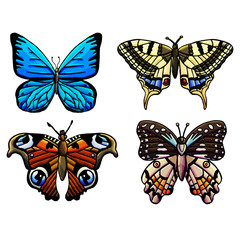 Swallowtail butterfly, peacock eye, cartoon style, isolated objects, summer, bloom, insects, stickers, cards, for children, decoration, swallowtail, nature, entomologist, wings, caterpillars, bloom