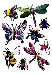 Set of insects, dragonflies, butterflies, flies, bees, beetles, cartoon style, isolated on white background, botany, children's books, postcard, games, for children, board games, adventure, insects