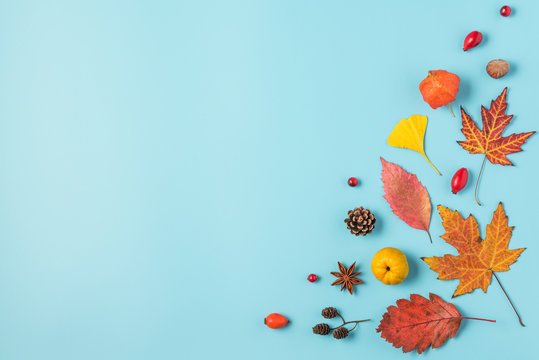 Autumn Background. Dried Leaves, Flowers, Berries, Nuts On Blue Background. Autumn, Fall, Thanksgiving Day Concep