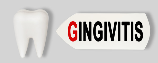 Prevention of dental diseases. Plastic model of the tooth, next to the nameplate - GINGIVITIS