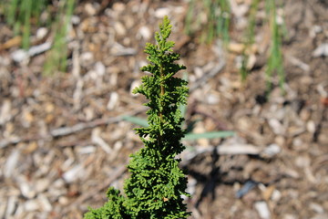 Around Portland-Forest Park-Pittock Mansion