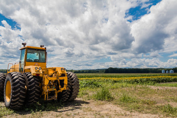 Big yellow tractor on sunflower and corn field blue cloudy sky