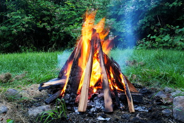 Campfire in green garden with grass and trees in background