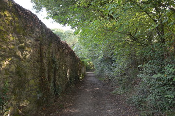 Saint-Herblain - Parc de la Chézine