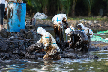 Volunteers clean the ocean coast from oil after a tanker wreck. Mauritius
