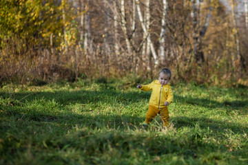 Little todler boy learns to walk against the background of the autumn forest