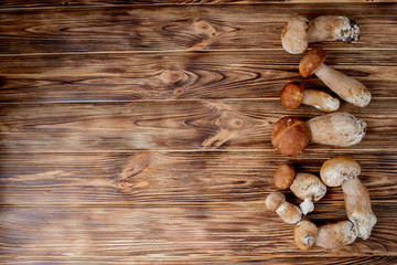 Mushroom Boletus over Wooden Background. Autumn Cep Mushrooms. Ceps Boletus edulis over Wooden Background, close up on wood rustic table. Cooking delicious organic mushroom. Gourmet food